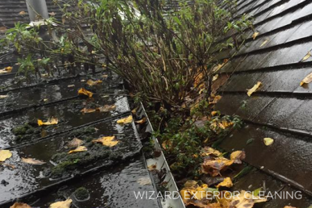 Gutter Cleaning Bridgnorth